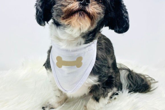 Review: Dog Bone Mini Embroidery for Small Projects